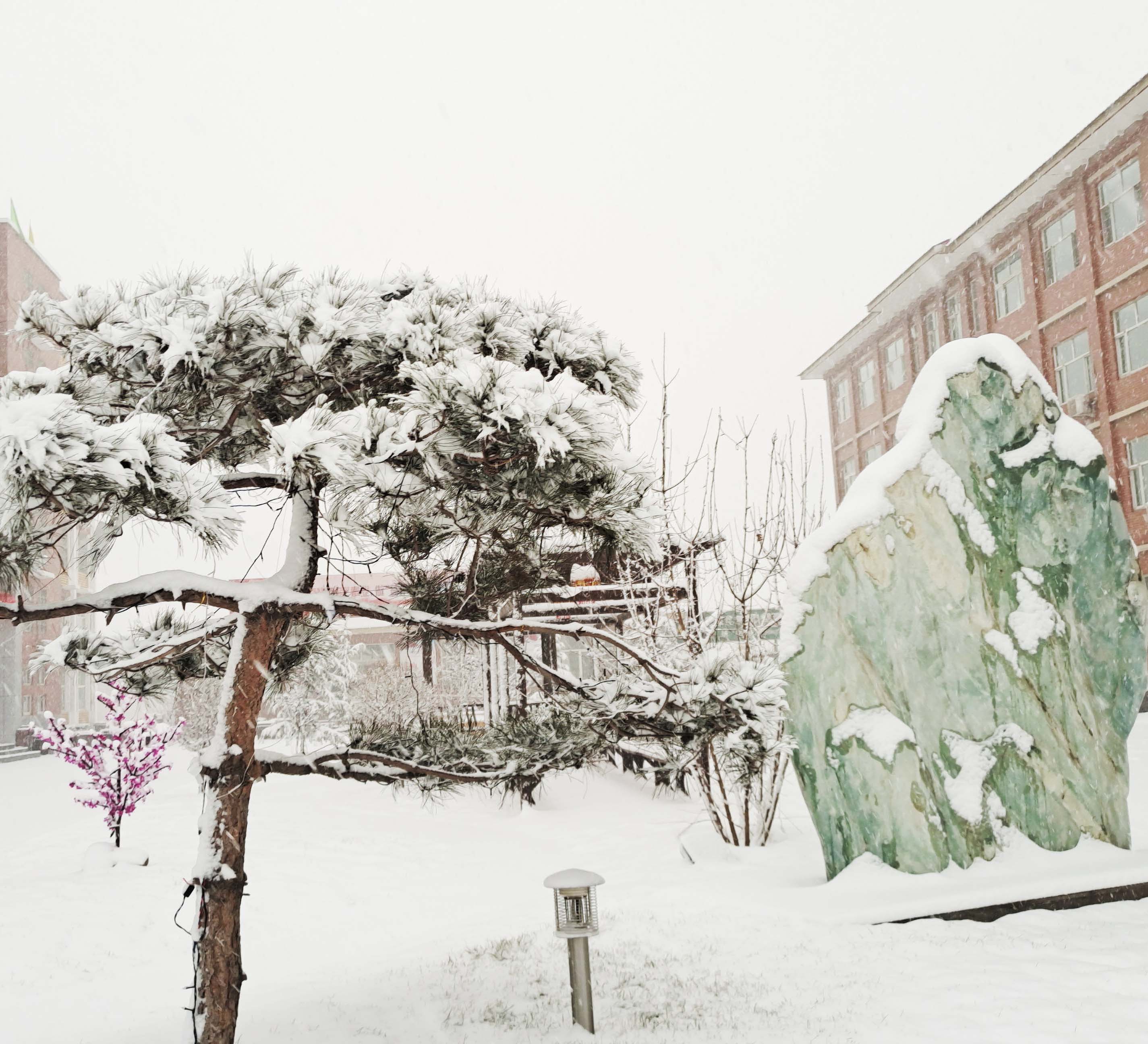 冬雪落春風，沁潤吾心安